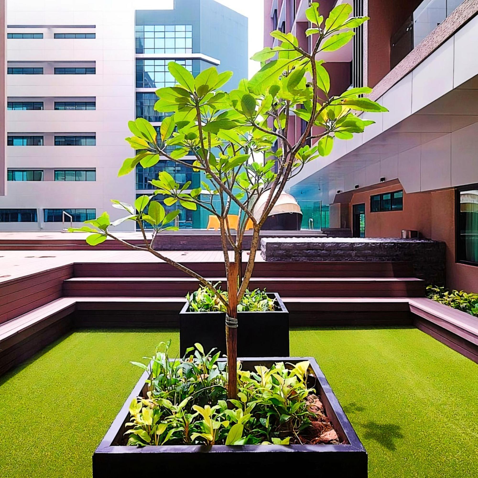 D'Casa Riverson At Kota Kinabalu Exterior foto